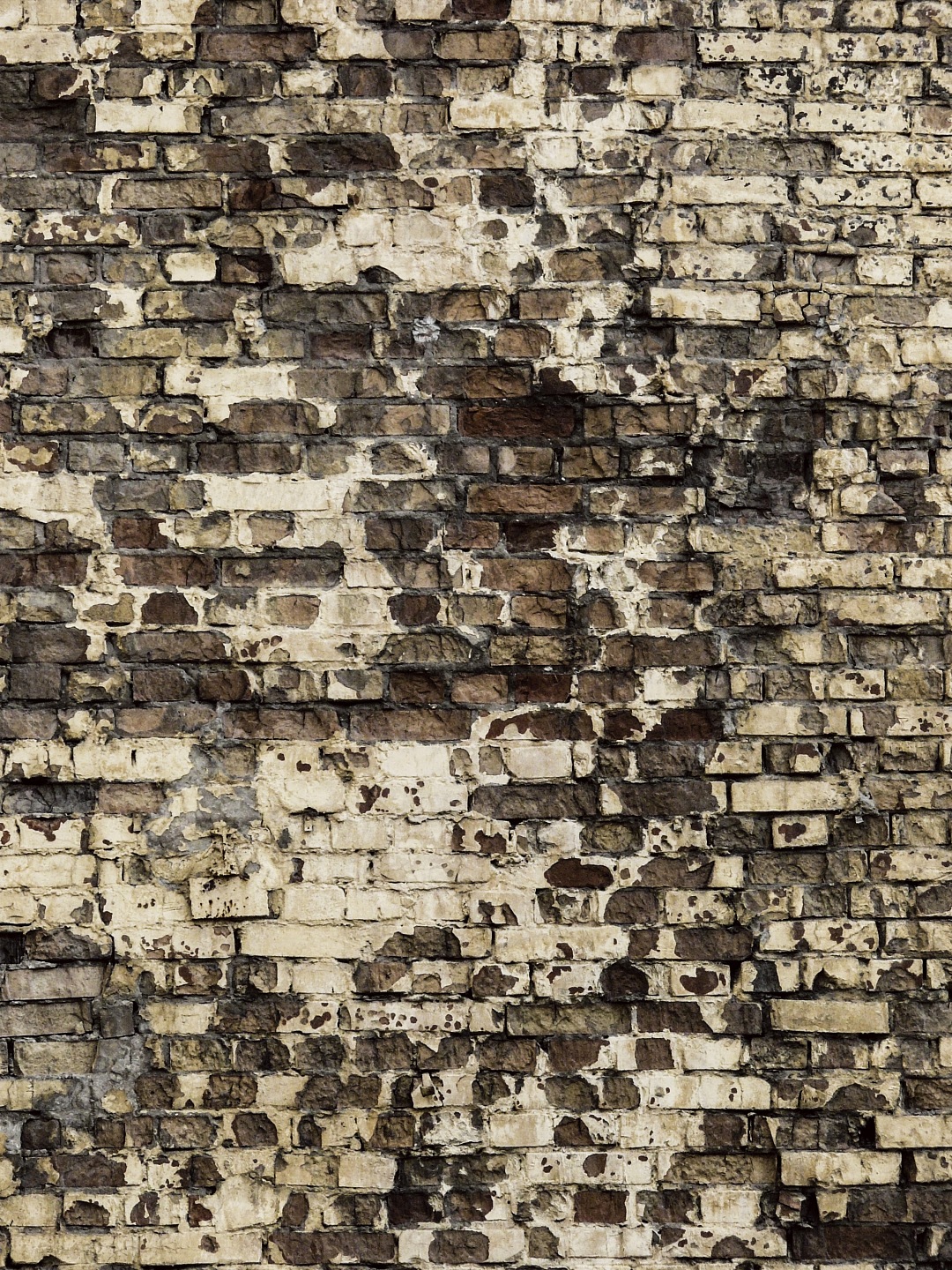 Texture Brick Wall