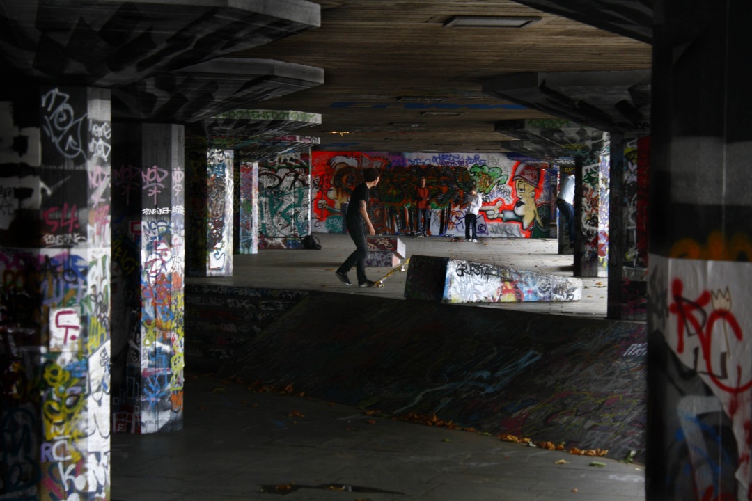 Brothers skate