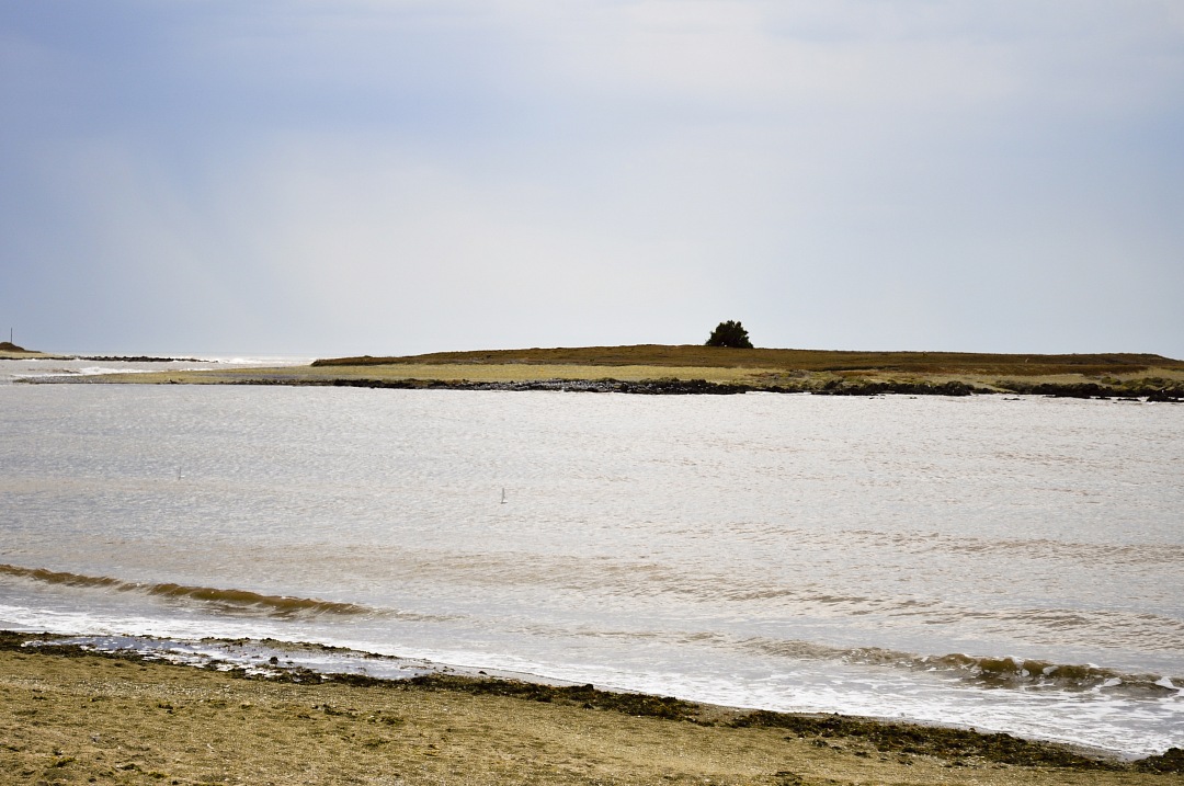Uruguay Beach landscape with a clear sky