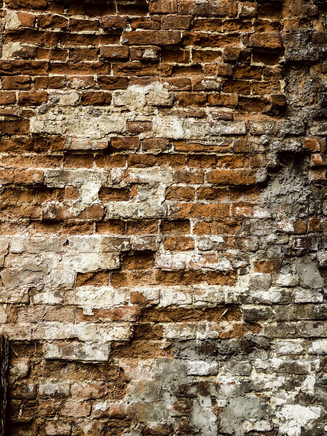 Texture Brick Wall