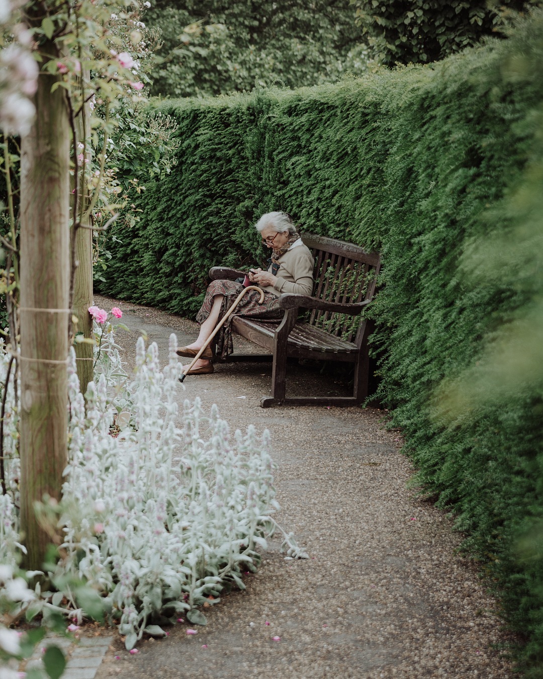 Cute old woman scrolling