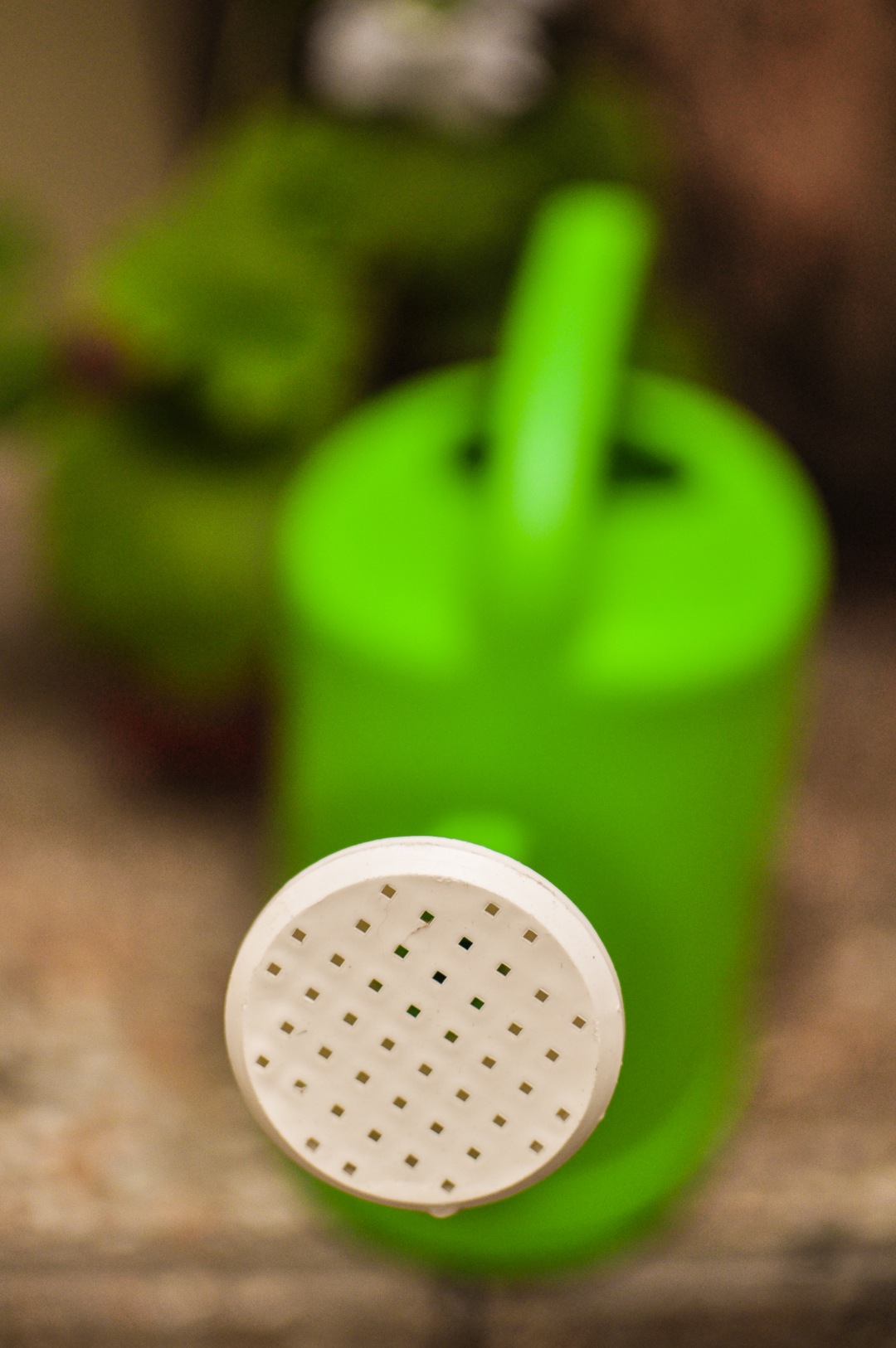 Watering Can