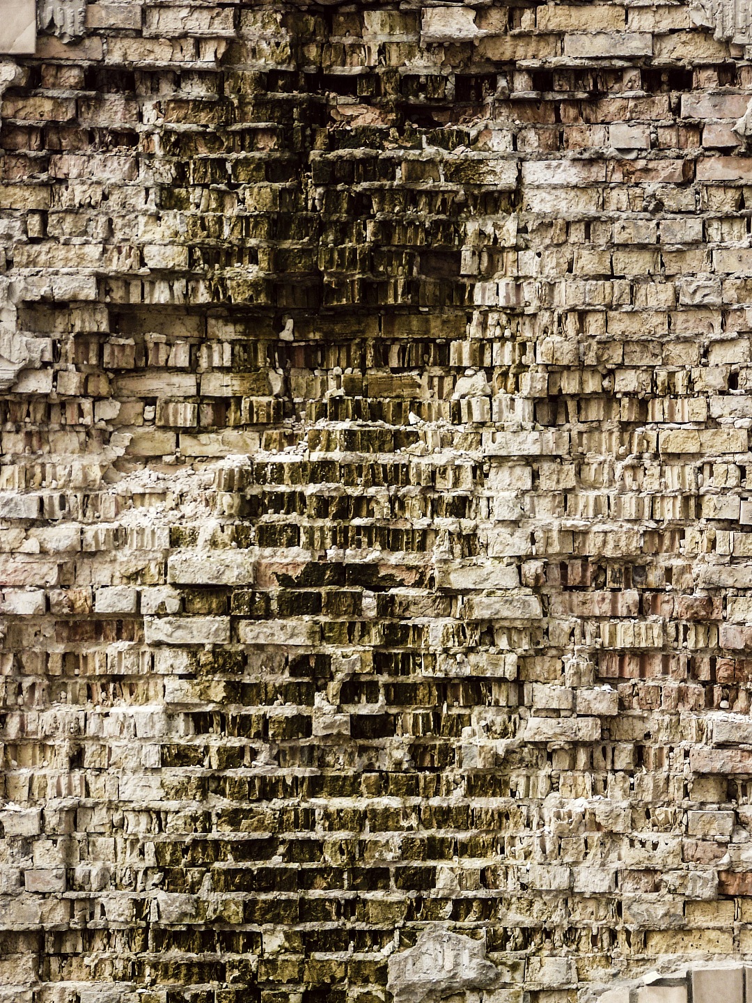 Texture Brick Wall