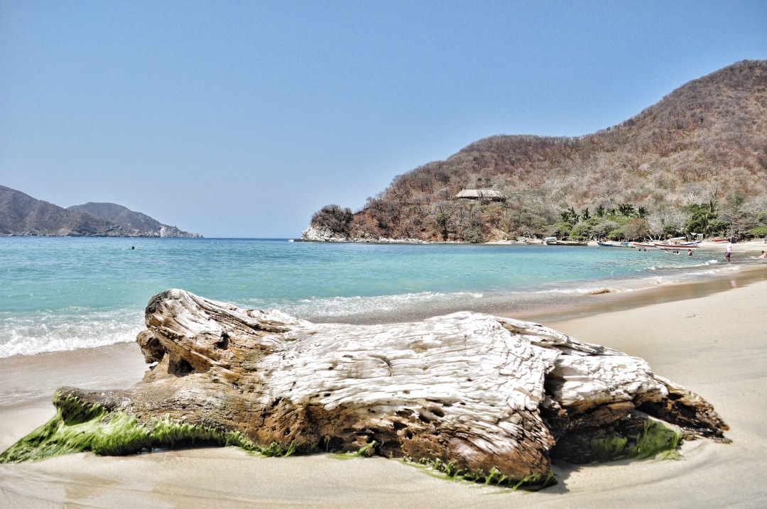 Fosil rock on Tayrona Caribean Colombia