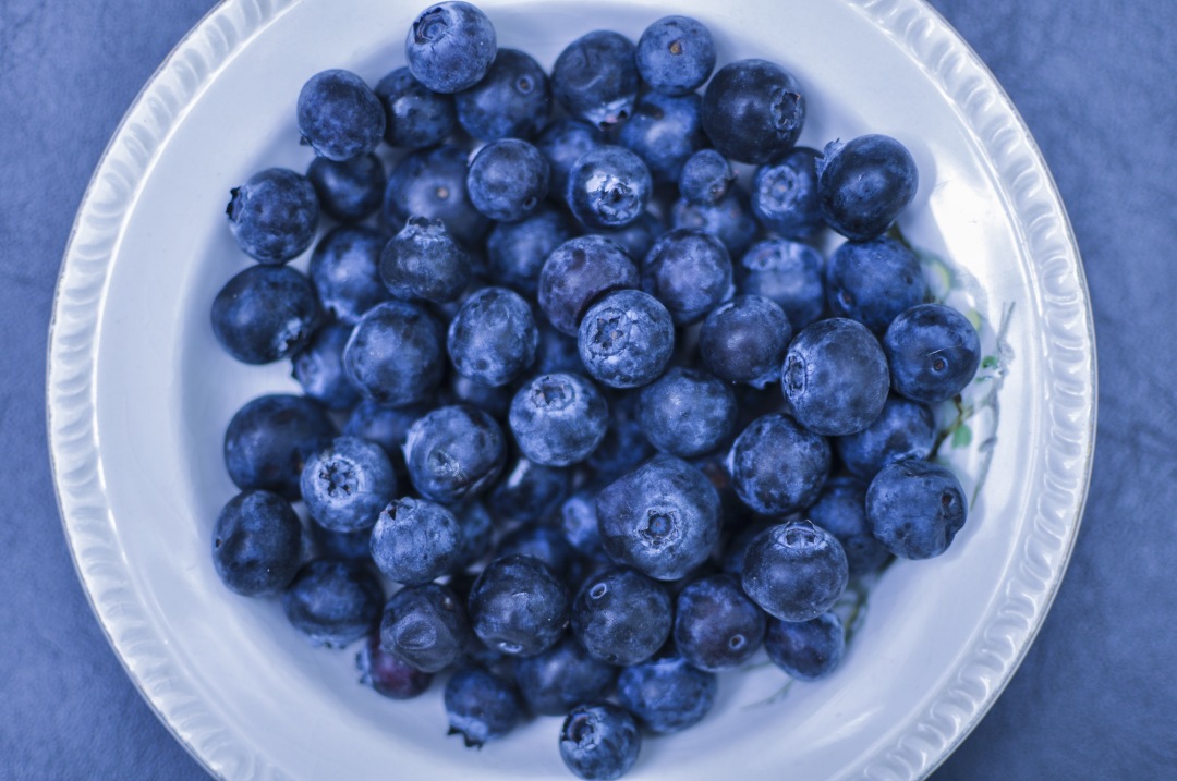 Blueberry background. Ripe and juicy fresh picked blueberries closeup