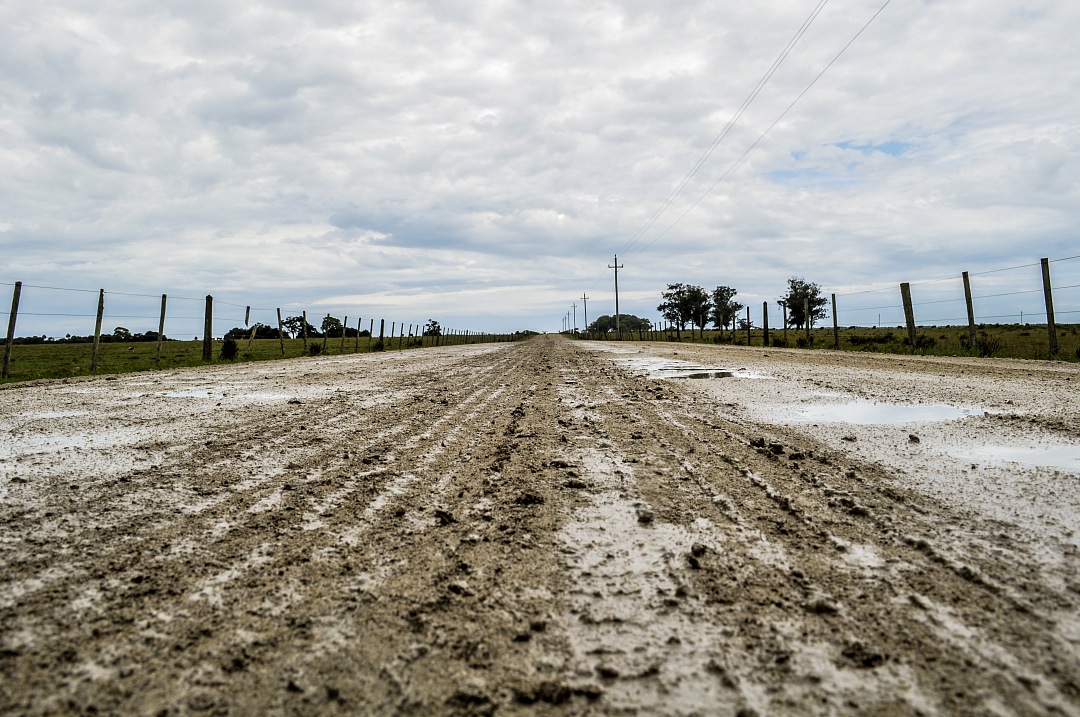 dirt road in the field after a rain