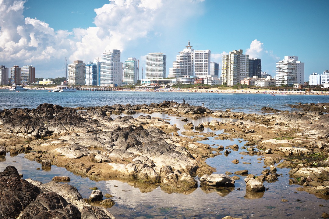 Punta del Este city View