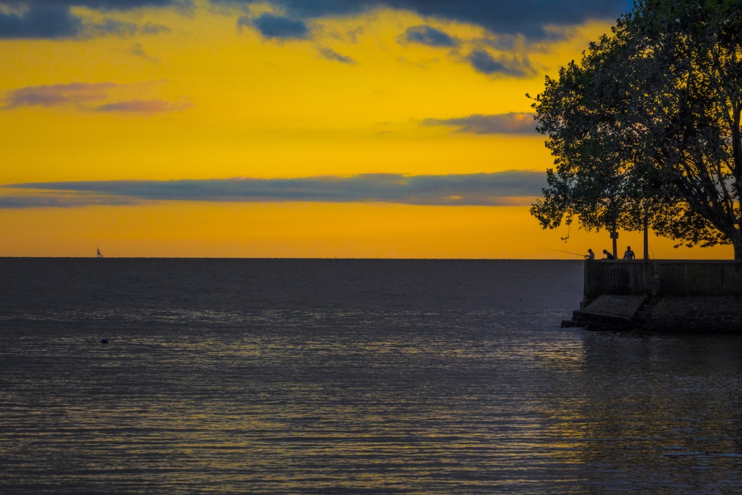 Sunset Landscape Olivos Port Buenos Aires