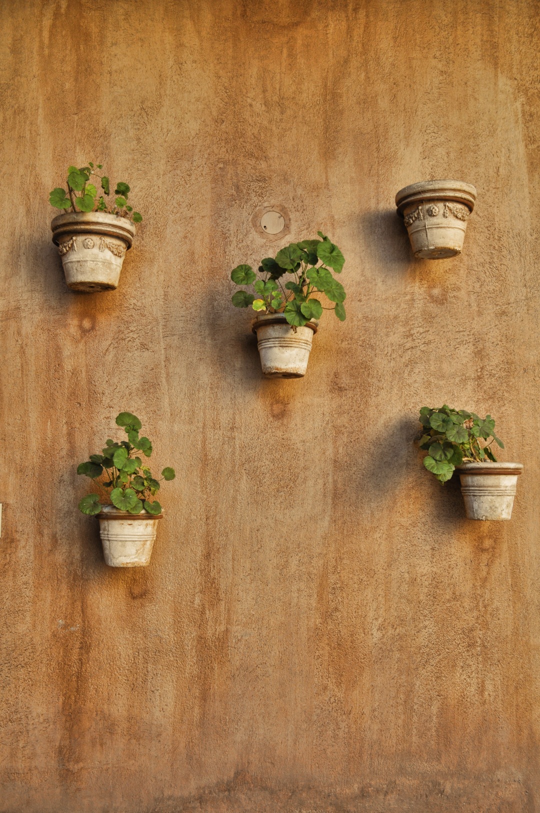 Pocket flower on the wall