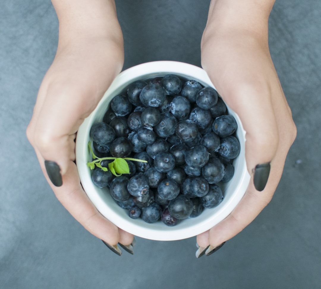 Organic Blueberry Fresh on woman hand