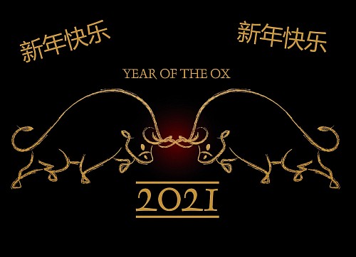 Happy chinese new year of the ox 2021 on red Free Vector