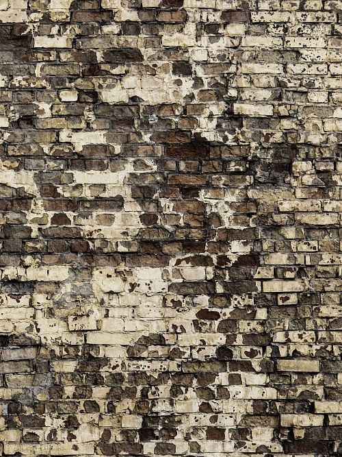 Texture Brick Wall