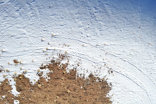 Snow Texture over view