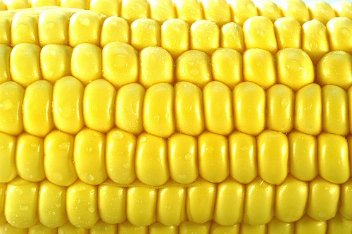 macro photo of yellow corn grains