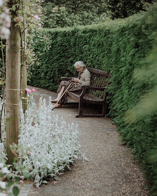 Cute old woman scrolling