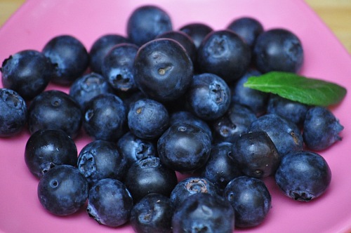 blueberries closeup macro