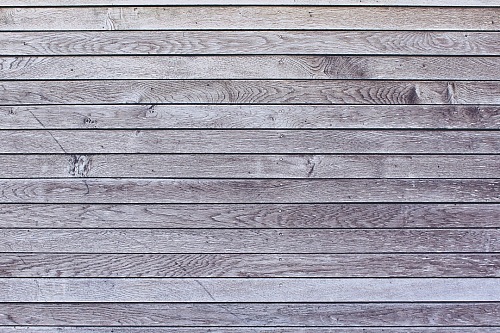 Texture wood white 
