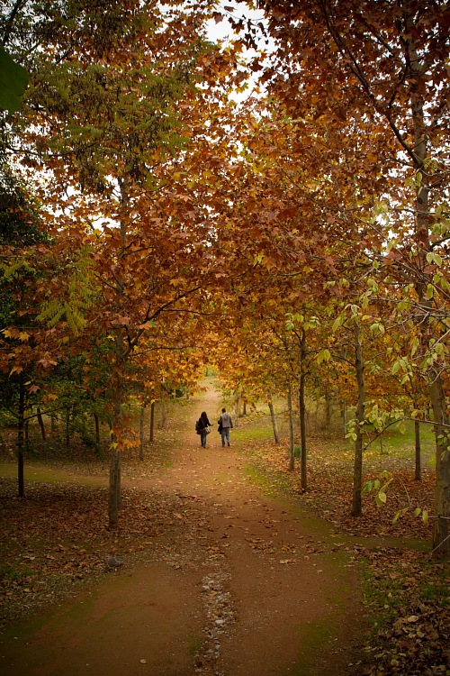autumn
