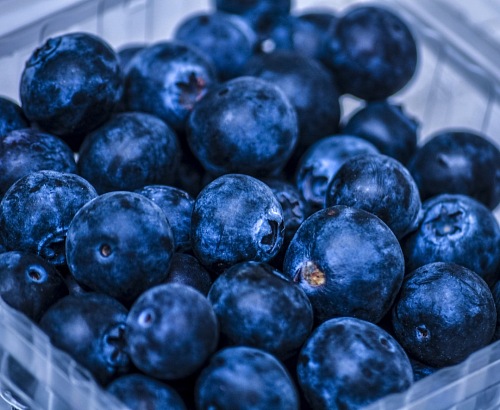 Organic Blueberry Fresh stock photo