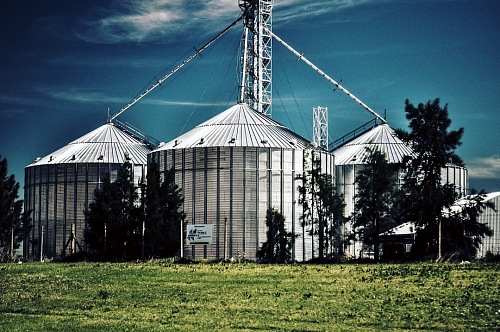 Silos in a field. Storage of agricultural production