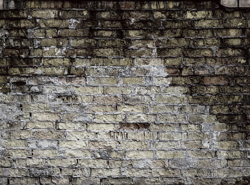 Texture Brick Wall