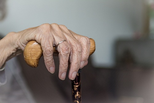 Hand of sustainable adult woman walking stick
